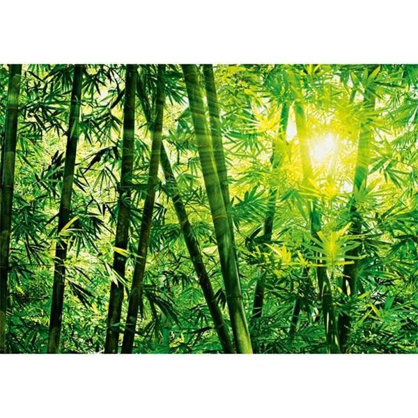 Brewster Home Fashions Brewster Home Fashions DM123 Bamboo Forest Wall Mural - 100 in. DM123